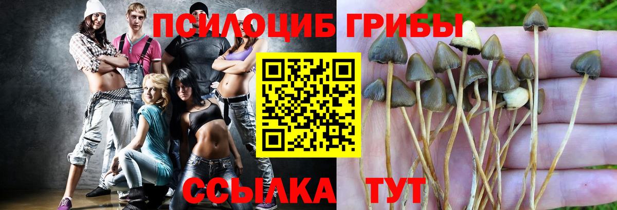 Псилоцибиновые грибы Magic Shrooms  Вход с VPN  Назрань  Псилоцибиновые грибы ЛСД 